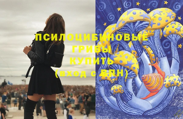 MDMA Верхний Тагил