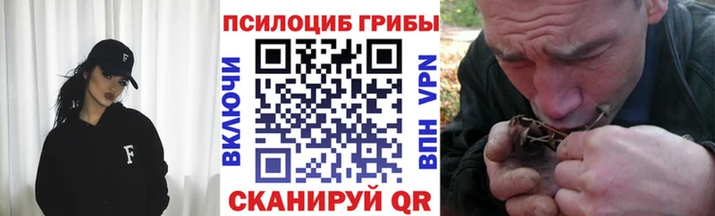 Галлюциногенные грибы Psilocybe  Сызрань 